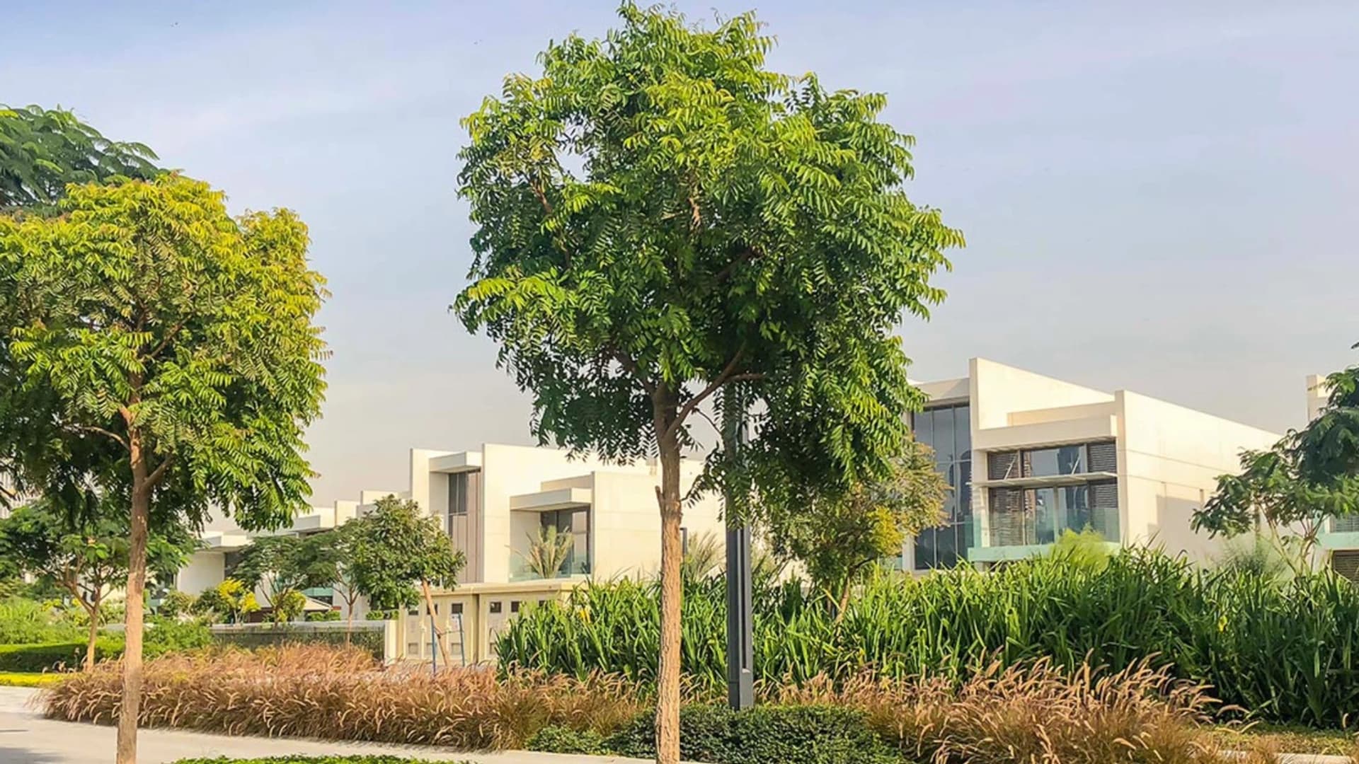 Meydan – gallery
