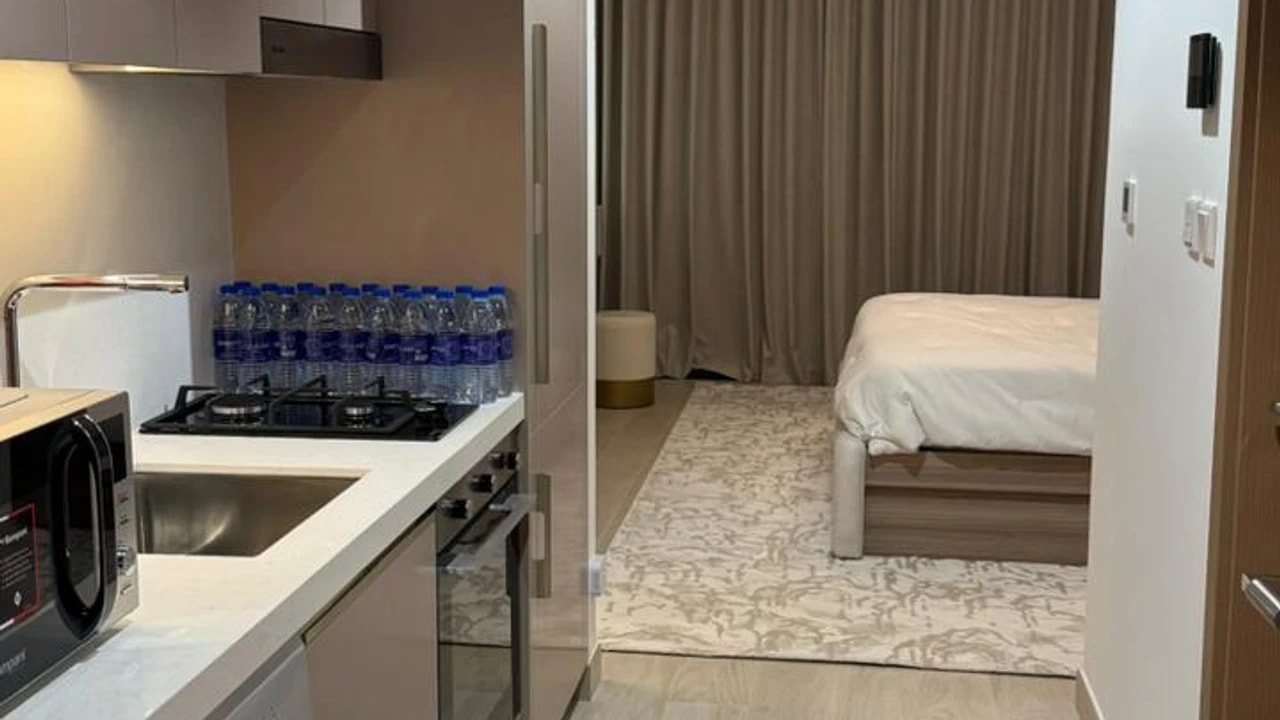 Studio Apartment for Rent in Azizi Riviera Beachfront Tower C, Meydan One – view